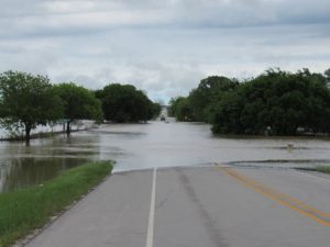 12987197_699859616823806_7103455305516731804_n