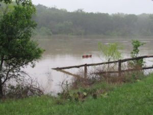 13015542_699917300151371_7260975412141755483_n