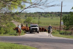 13062231_702338173242617_6299201730331915343_n