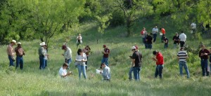 Holt River Ranch Pavilion Events