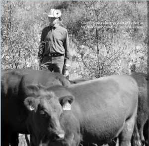 Screen Shot 2014-01-10 at 6.14.46 PM